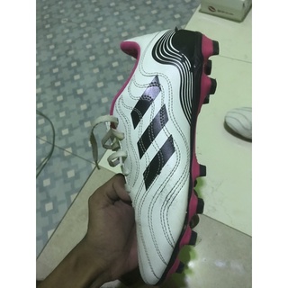 Adidas predator outlet olx