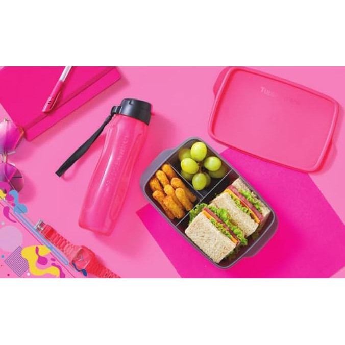 Jual TUPPERWARE Cool Teen Lunch Box Divided Lunch Box 1pcs di