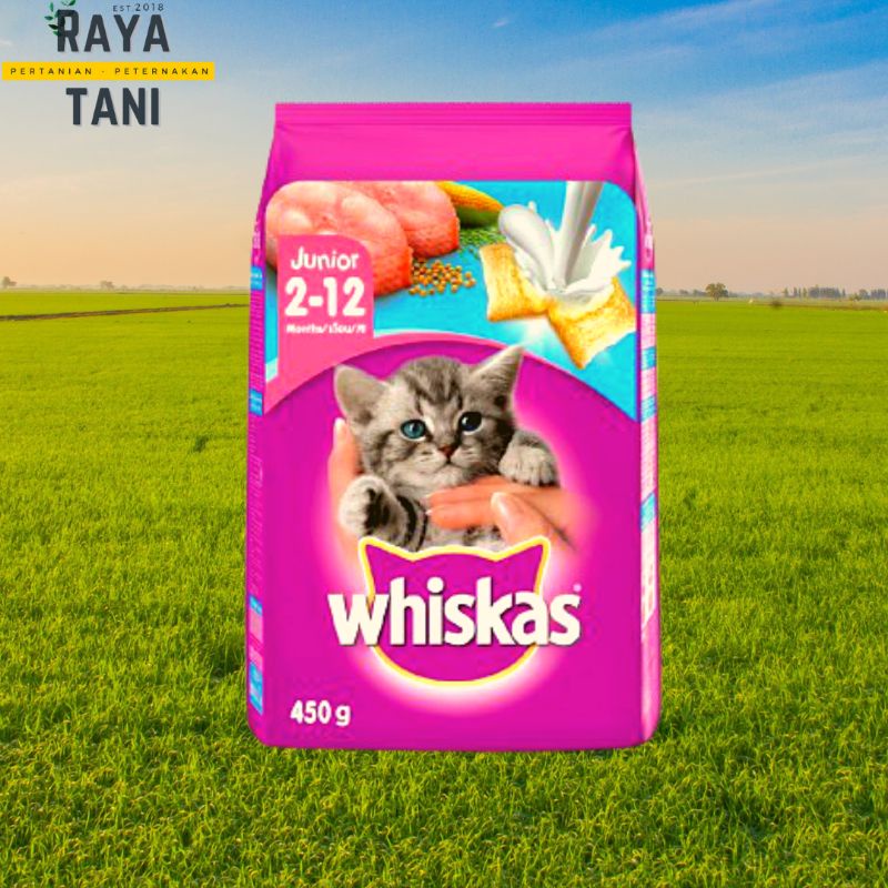 Jual Whiskas Dry Food kitten makanan kering untuk anak kucing 212