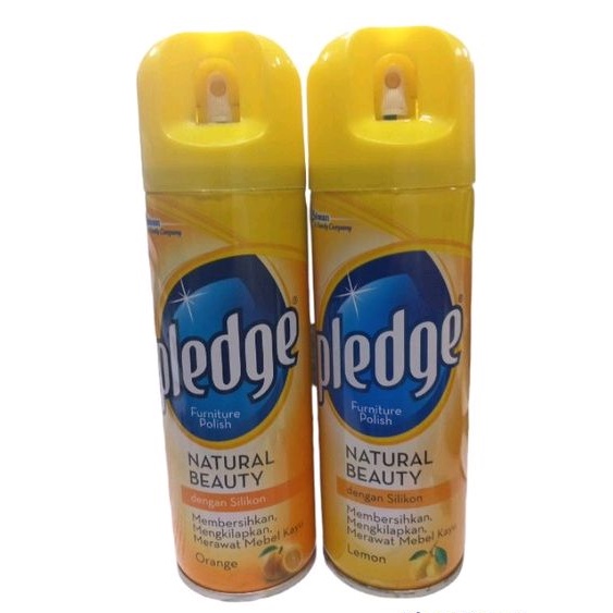 Jual PLEDGE FURNITURE POLISH NATURAL BEAUTY 170G | Shopee Indonesia