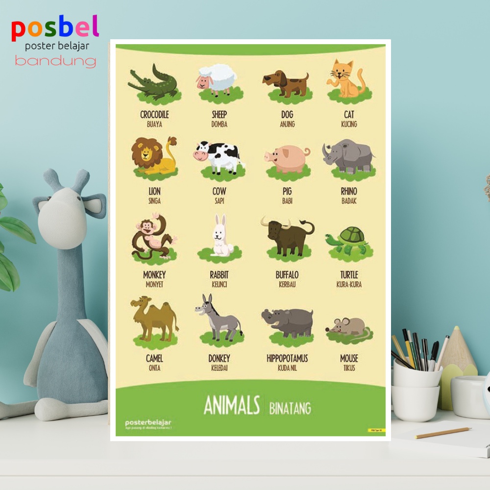 Jual Poster Hewan Edukasi Anak Balita Paud TK Mainan Posbel Gambar ...