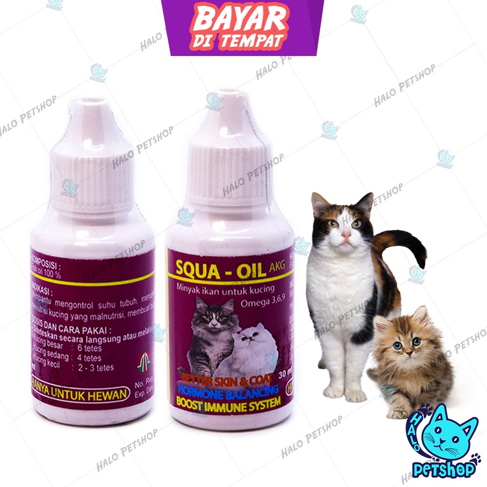 Jual SQUA OIL 30ml Vitamin Minyak Ikan Untuk Kucing dan Anak Kucing ...