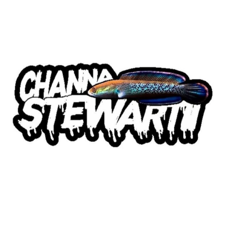 Jual STICKER CHANNA STEWARTII 2 | Shopee Indonesia