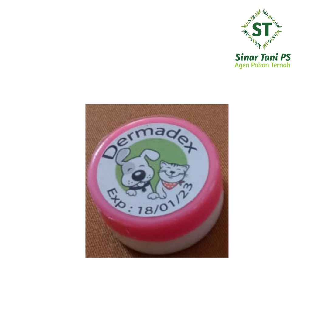 Jual Dermadex salep kucing dan anjing untuk jamur dan kutu | Shopee ...
