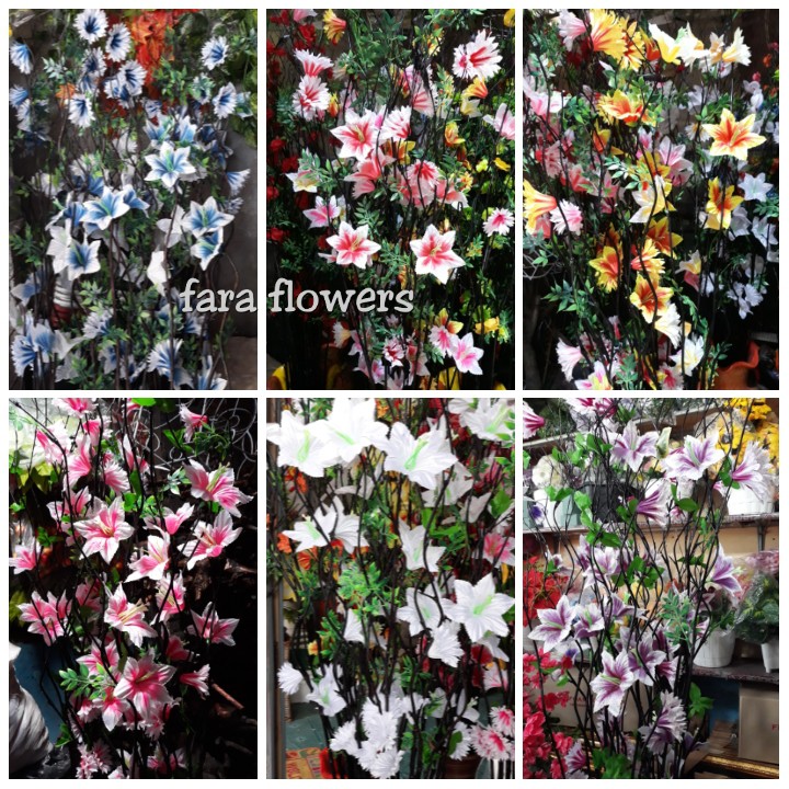 Jual (Minimal order 5 batang) Bambu Ulir Kering Bunga Sepatu Dekorasi ...