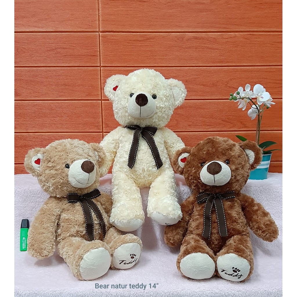 Jual Boneka Bear Natur Teddy Size 50cm/14"/boneka beruang/teddy bear/kado  ultah/boneka sedang | Shopee Indonesia