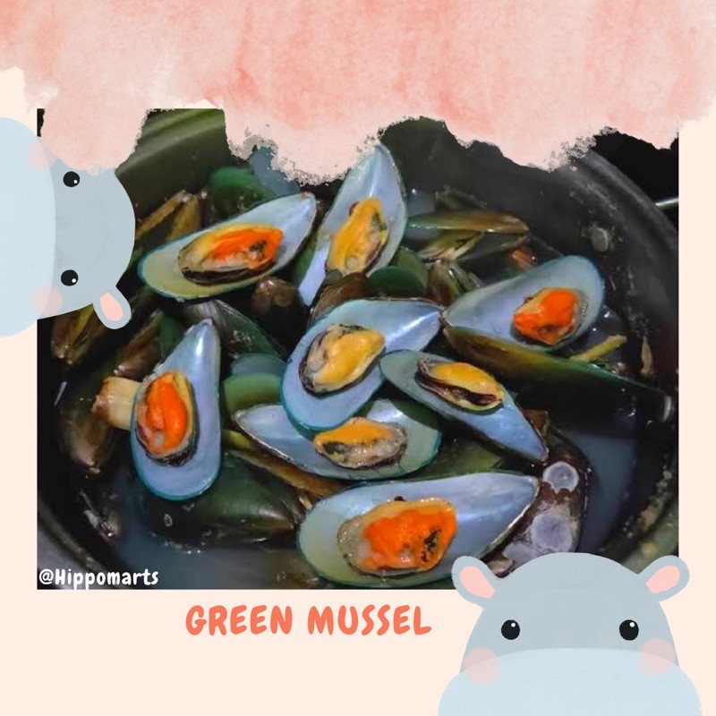 Jual Kerang Hijau / Green Mussel | Shopee Indonesia