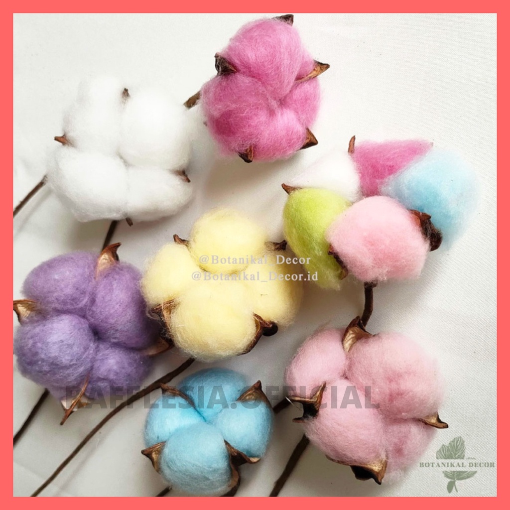 Jual Bunga Kapas Artificial Cotton Flower Single Stem Dekorasi Hiasan ...