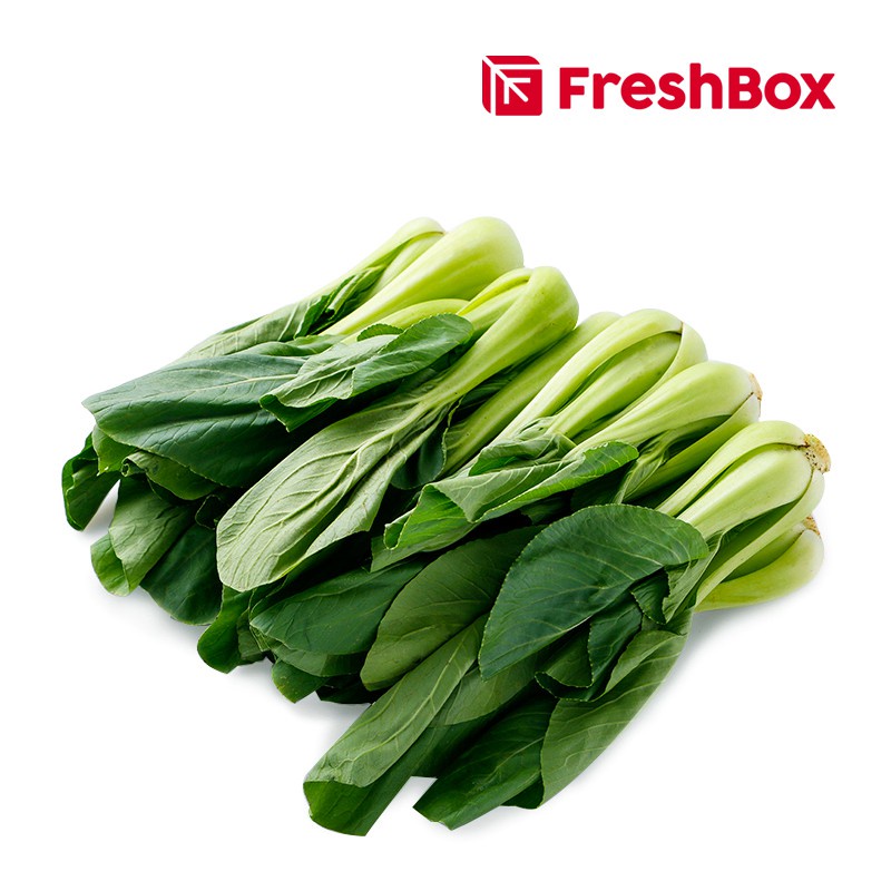 Jual Pakcoy 500gr FreshBox | Shopee Indonesia