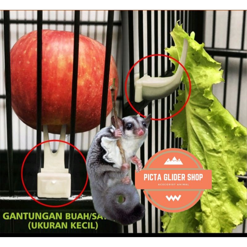 Jual gantungan pengait buah dan sayur untuk sugar glider Shopee Indonesia