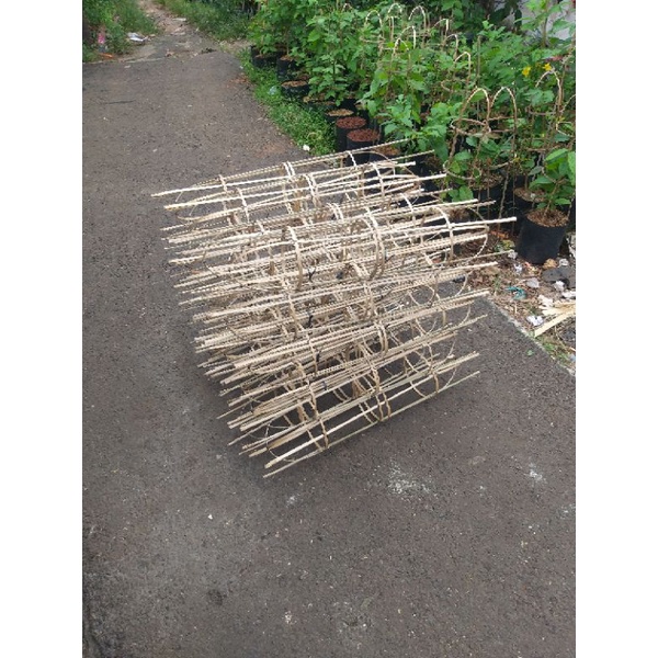Jual Turus Tanaman Rambat Bahan Bambu Natural Minimal 5Pcs | Shopee ...