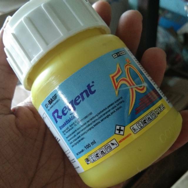Jual Pembasmi Hama Sundep / Penggerek Batang Insektisida Regent 50 SC ...
