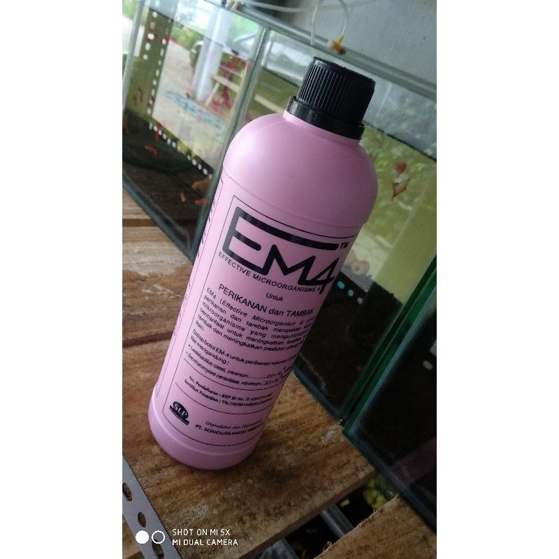 Jual Probiotik EM4 untuk ikan | Shopee Indonesia