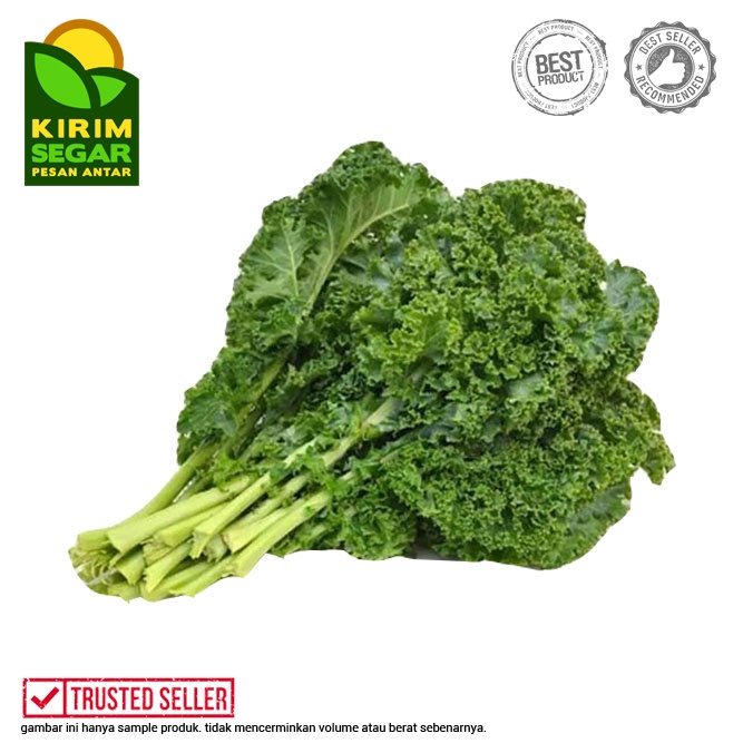 Jual Daun Kale Sayur Kale Daun Kale Fresh Kale Segar Pack Shopee Indonesia