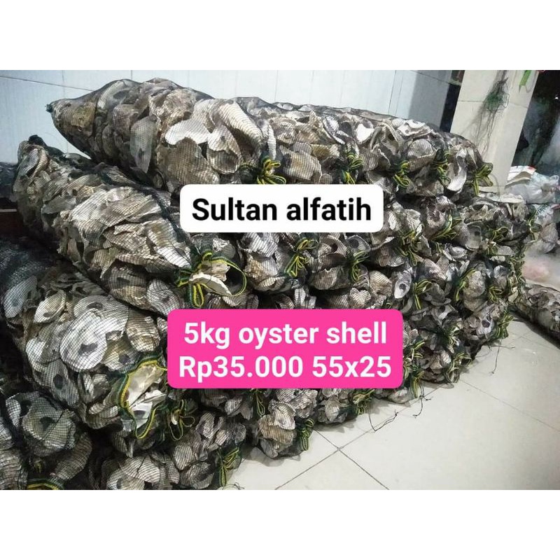 Jual oyster shell kulit kerang tiram penstabil pH air kolam dan ...