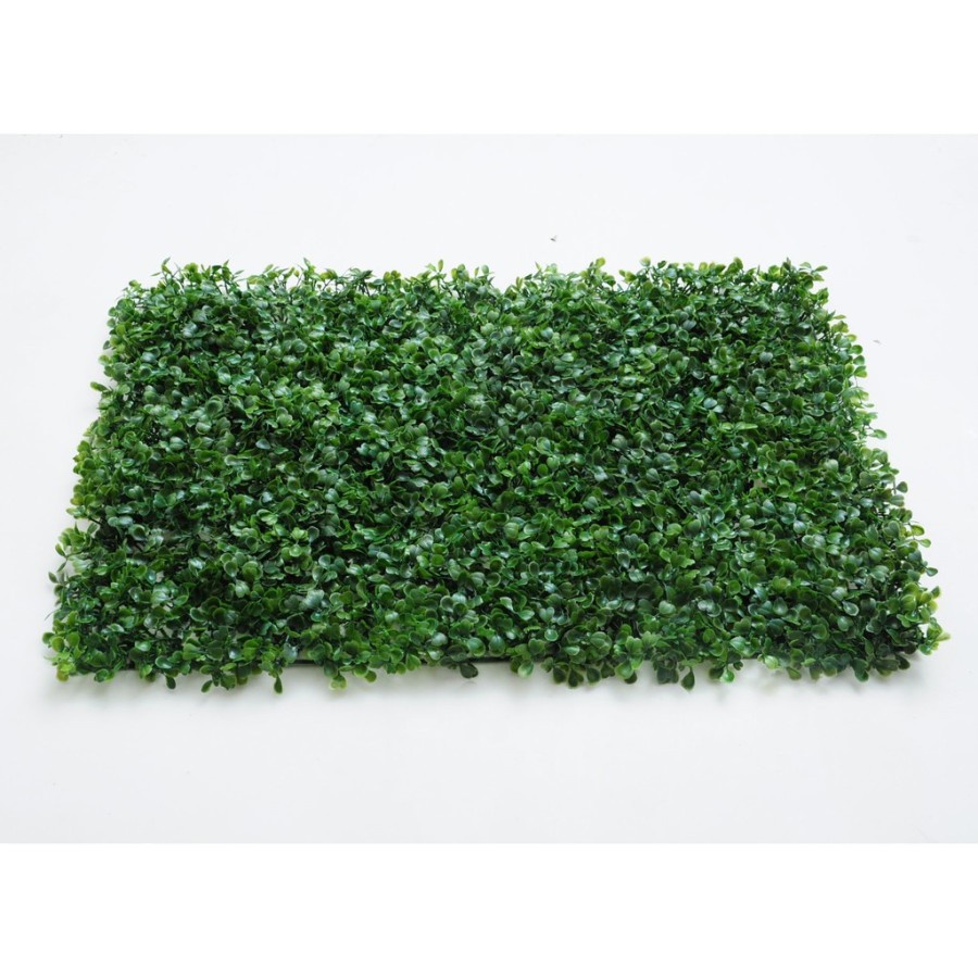 Jual Rumput Sintetis Dinding Motif Daun Dolar / Rumput Rambat Findlove ...