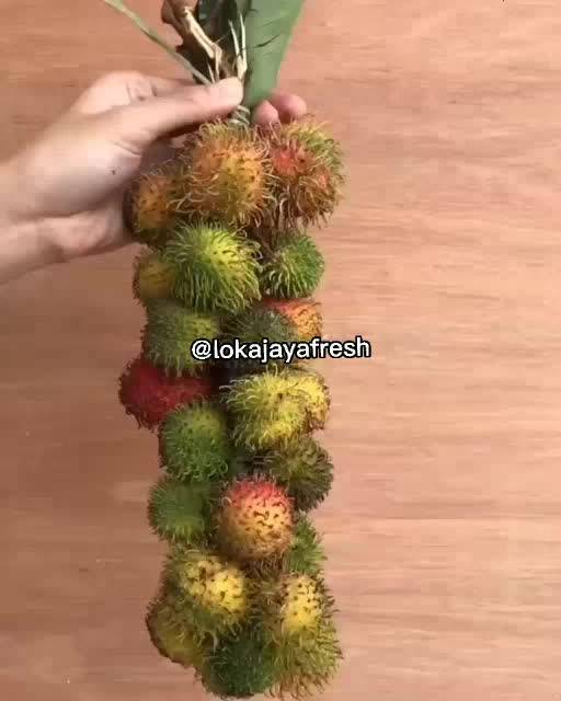 Jual RAMBUTAN RAPIAH/ CIPELAT PER IKAT KHUSUS JABODETABEK | Shopee ...