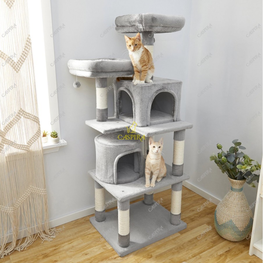 Condo kucing 2025