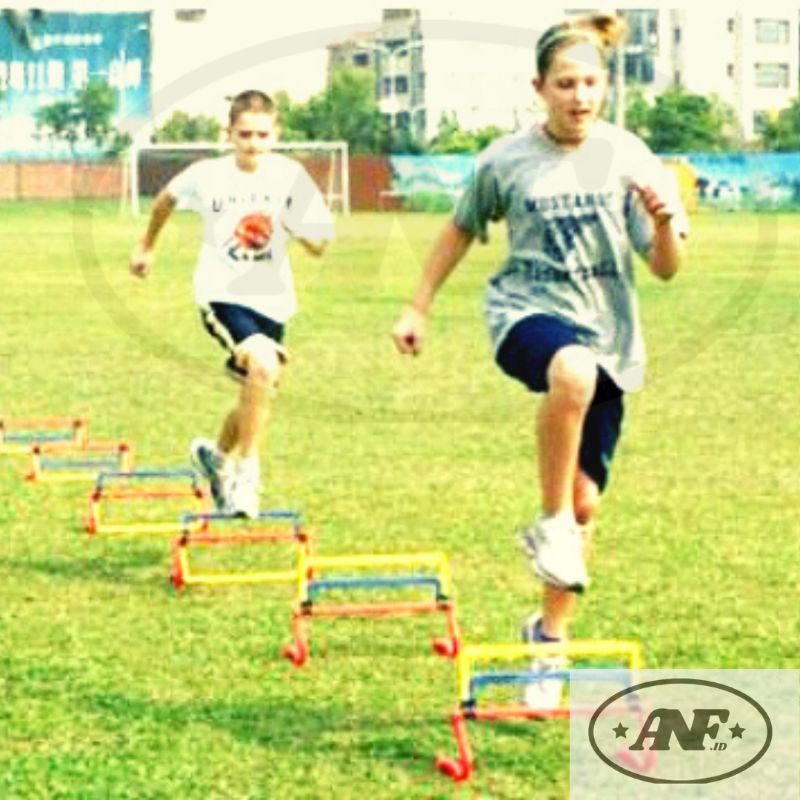 Jual Agility traning hurdle | hurdle hurdle untuk lantihan lompat ...