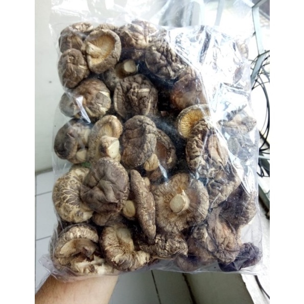 Jual Jamur Hioko / jamur Shitake 250 Gram Shopee Indonesia
