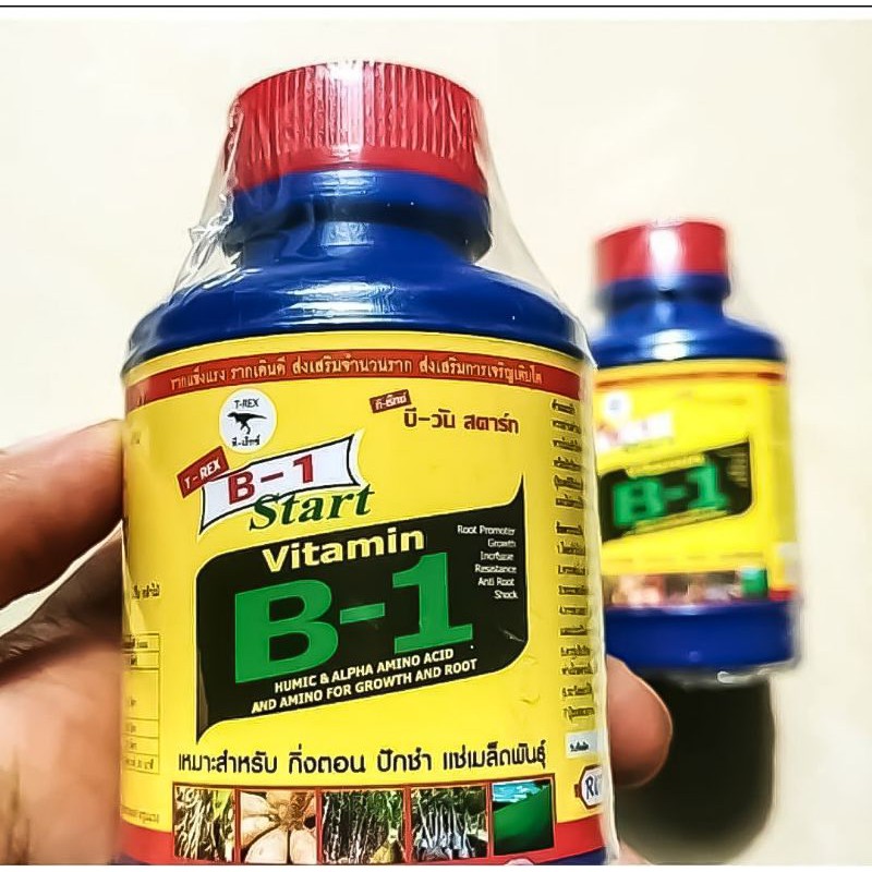 Jual Pupuk Vitamin B1 Thailand 100ml Original/Pupuk Cair Vitamin B1 ...