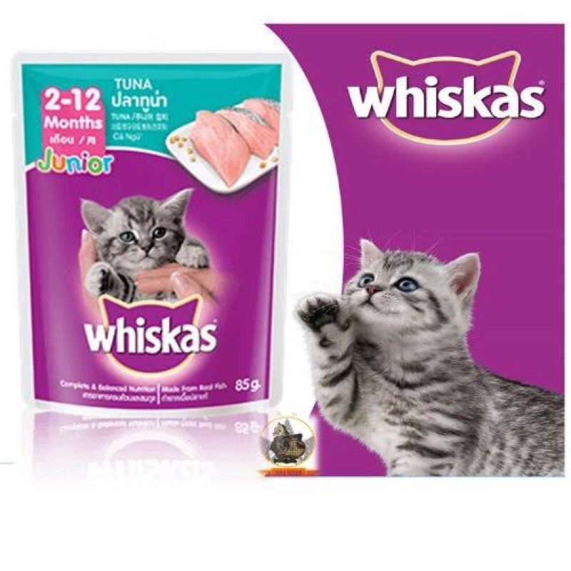 Jual whiskas junior sachet 80gr makanan basah untuk anak kucing