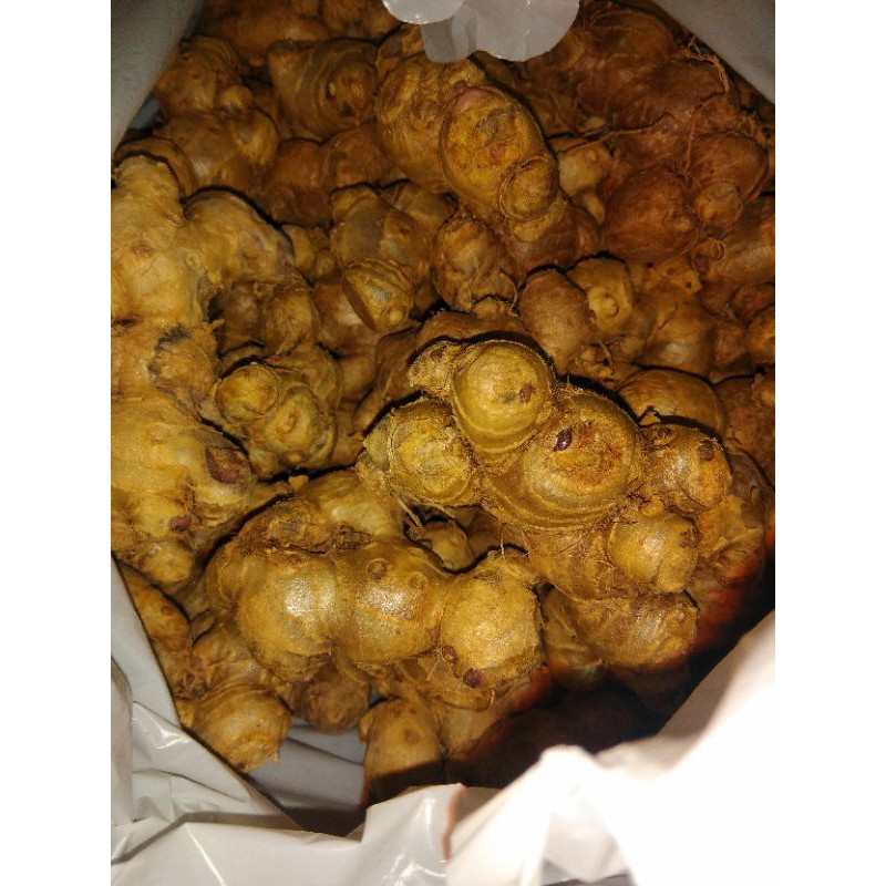 Jual kunyit hitam 150g | Shopee Indonesia