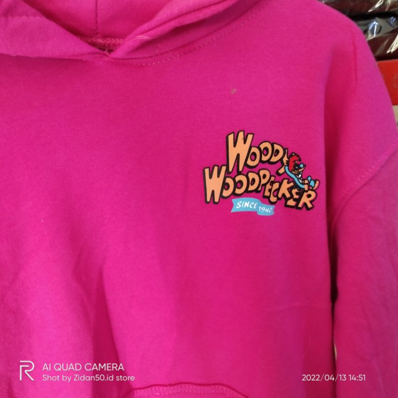 Jual Hoodie hu0026m woody woodpecker full label free paperbag hu0026m | Shopee  Indonesia