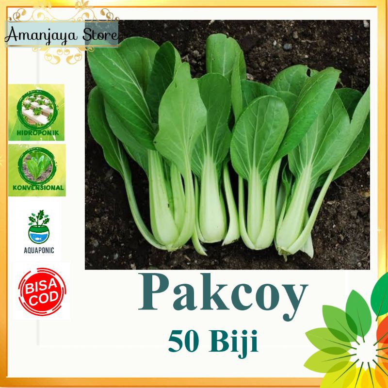 Jual Benih Sawi Pakcoy Green Isi 50 Biji Bisa Hidroponik Shopee Indonesia