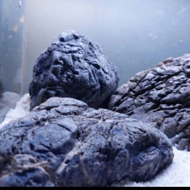 Jual TURLY STONE BATU LOKAL AQUASCAPE GRADE AAA | Shopee Indonesia
