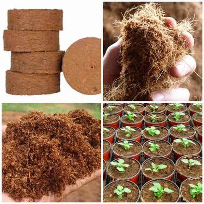 Media Tanam Cocopeat (100 Gram)