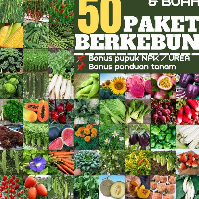 Jual {Original} Paket 50 Jenis Benih Bibit Biji Sayur Dan Buah | Shopee ...