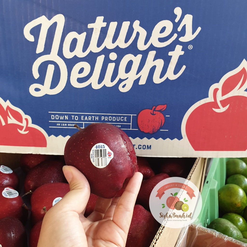 Jual Apel Red Delicious | Apel Washington | APEL MERAH - APEL IMPORT ...