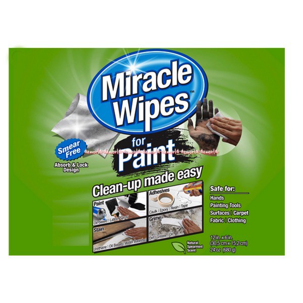 Miracle Wipes for Paint