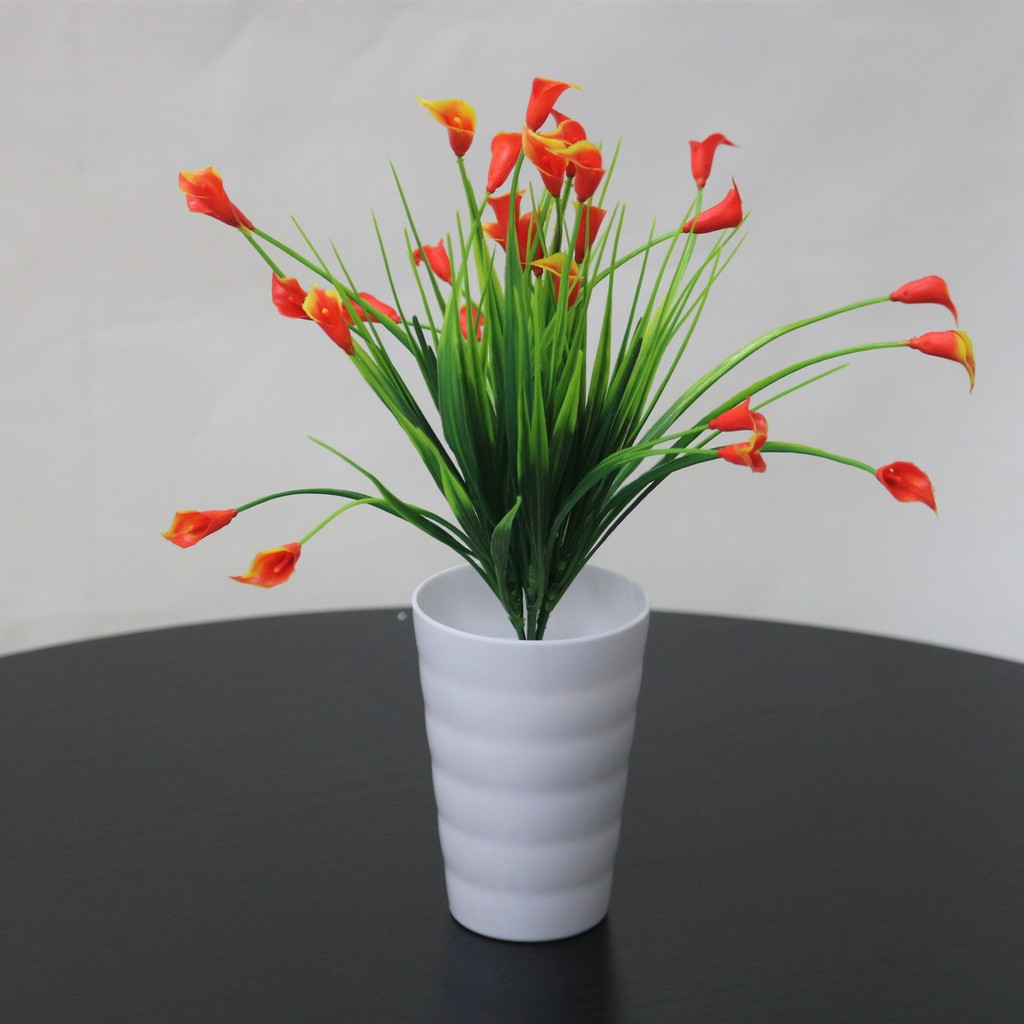 Jual Elfydo Pt Pot Tanaman Hias Bunga Calla Lily Dengan Berbagai