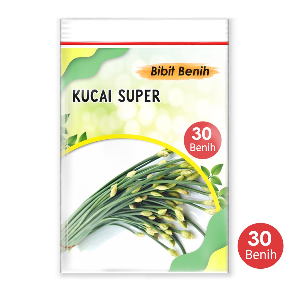 Nada fast benih jaya - 30  biji Benih sayuran kucai - biji bibit sayuran kucai cepat panen