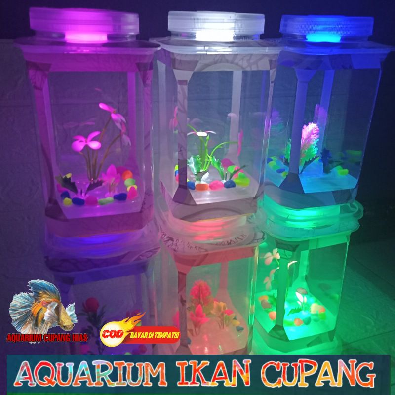 Jual Aquarium Akuarium Wadah Tempat Penyimpanan Ikan Kecil Cupang Guppy