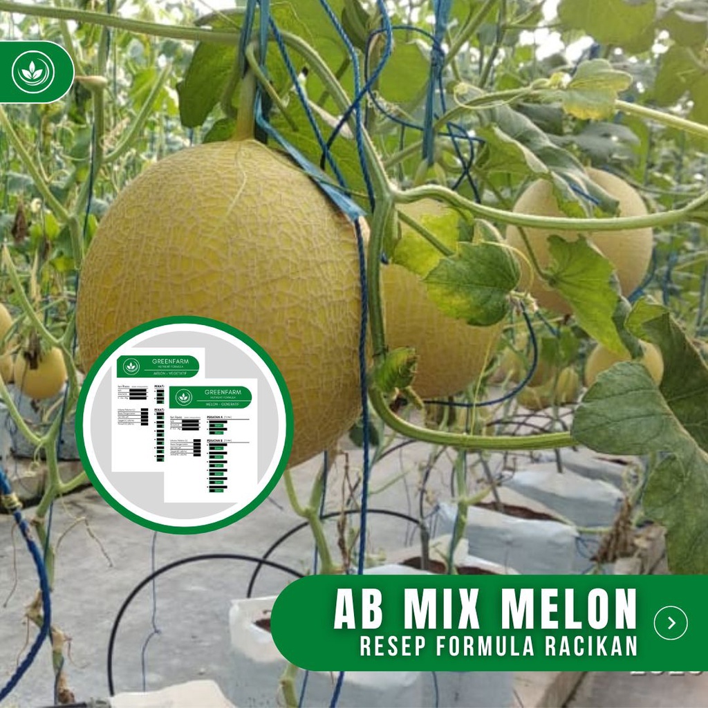 Jual Resep AB Mix Melon Formula Dual Racikan Nutrisi AB Mix Buah Melon ...