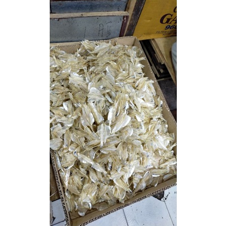 Jual Ikan kerupuk/pakang | Shopee Indonesia