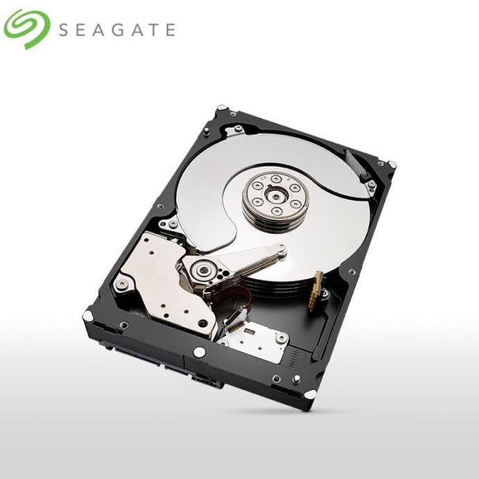 Jual Seagate Skyhawk Harddisk Surveillance Cctv Tb Sata Shopee Indonesia