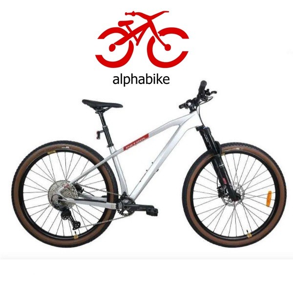 Jual SEPEDA GUNUNG MTB 29 PATROL C092 CARBON S FOCUS SILVER NEW 2021 ...
