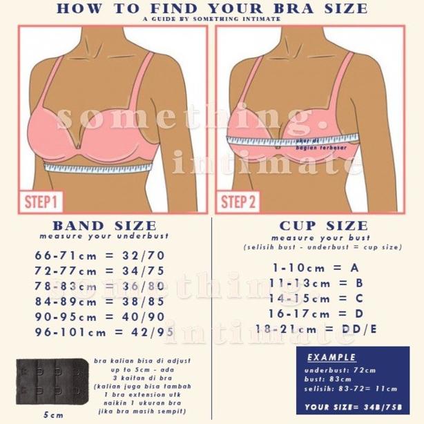 Jual Bra Size Guide Panduan Ukur Bra Shopee Indonesia