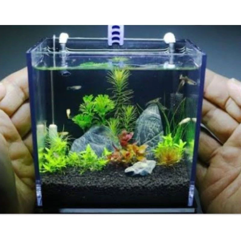 Aquarium Soliter Mini