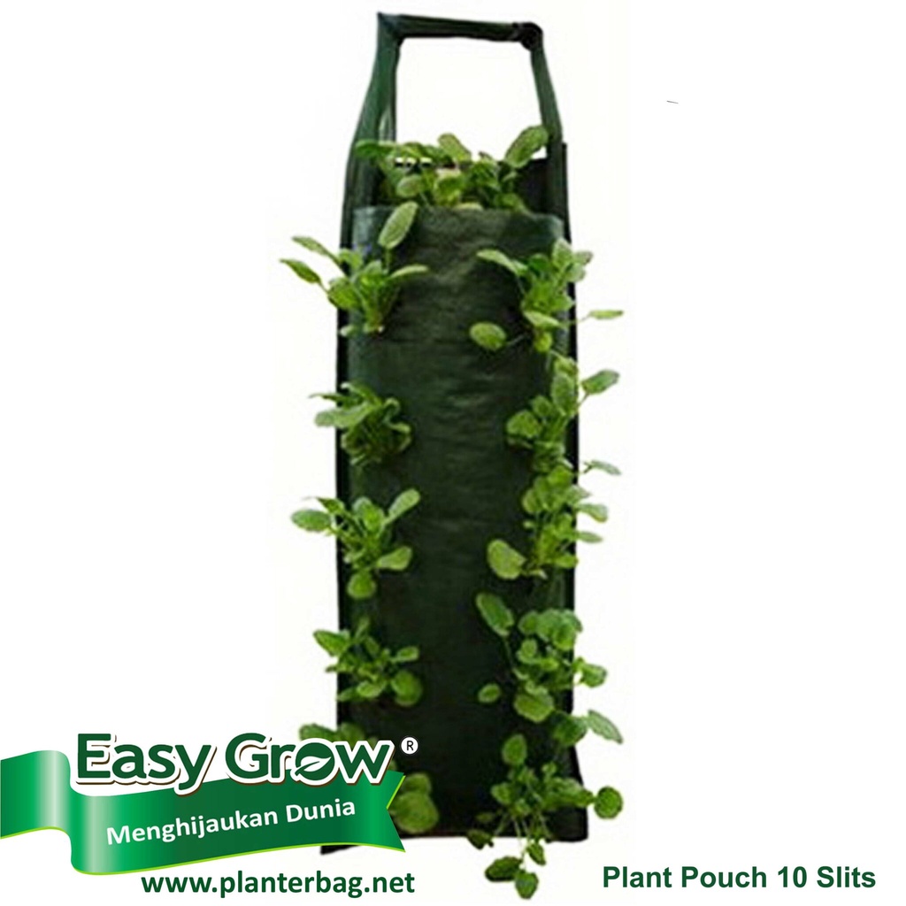 Jual PLANTERBAG EASY GROW PLANTER BAG TANAMAN AWET 50 LITER - Kab. Blitar -  Mulya Tani 1