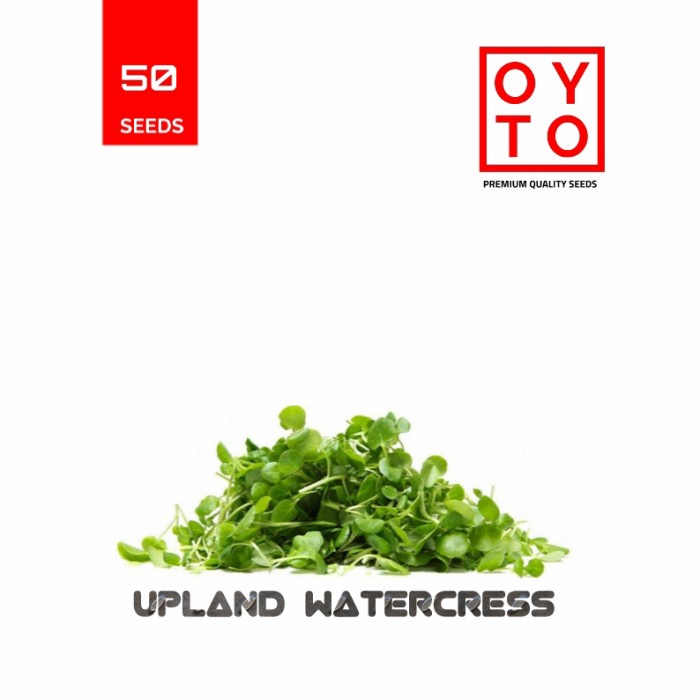 Jual BENIH SELADA AIR BIBIT SAYURAN BENIH TANAMAN HIDROPONIK | Shopee