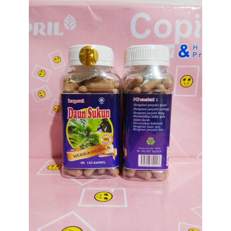 Jual Kapsul Daun Sukun Herbamedika Isi 120 Kapsul Shopee Indonesia