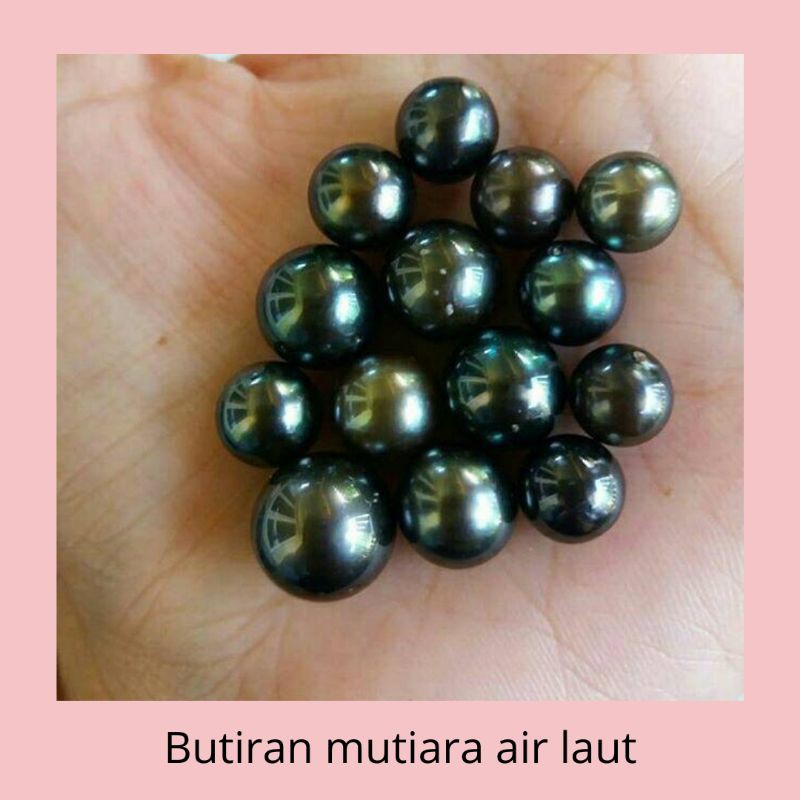 Jual Lulu Pearl - Butiran Mutiara Air Laut Hitam Asli - Mutiara Tahiti ...