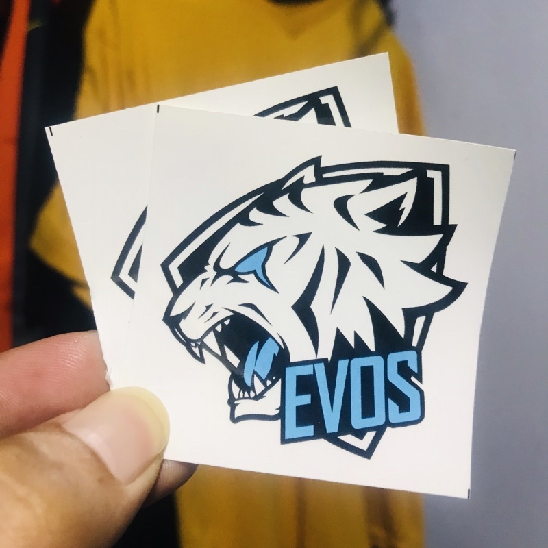 Jual Stiker Esport HP Game - ROG PS RRQ FF Bigetron (bijian) | Shopee ...