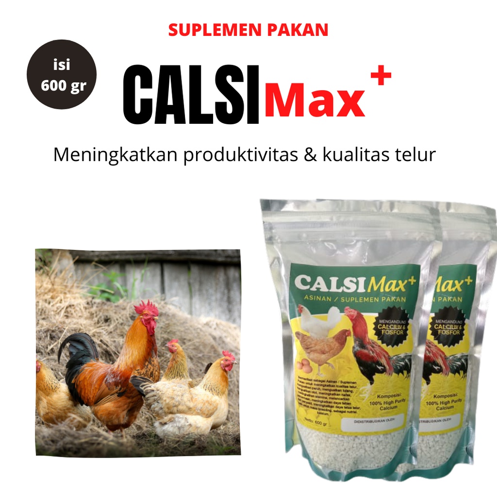 Jual Suplemen Ayam broiler, nutrisi High Calsium & Fosfor, pakan ayam