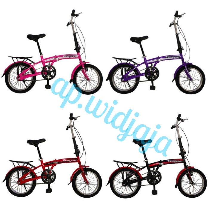 Seli best sale single speed